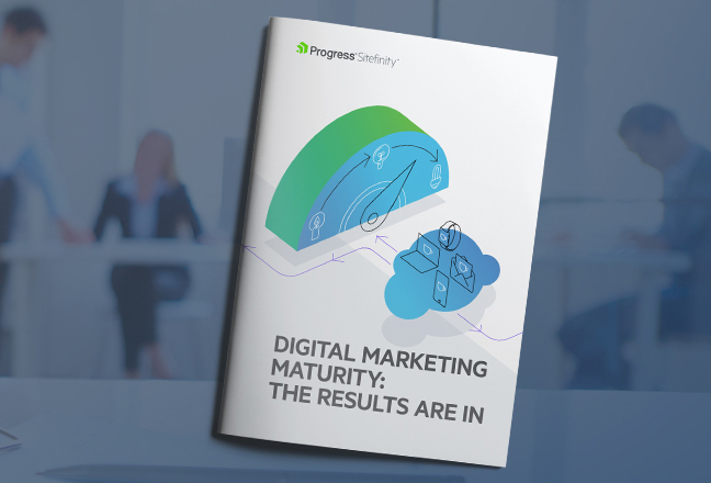 Digital Marketing Maturity