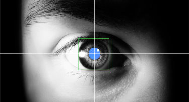 Eye-tracking study reveals success factors for video advertising
